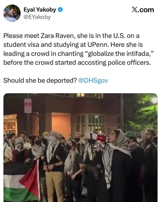 User Submitted Image