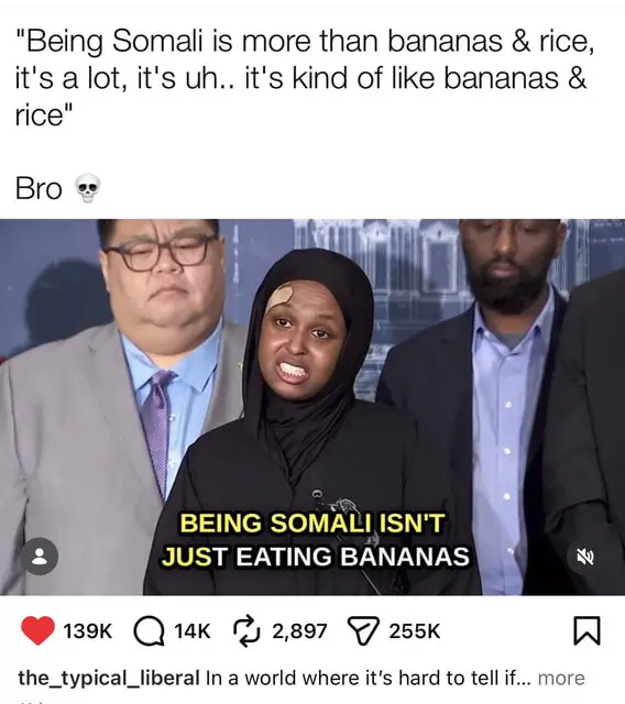 User Submitted Image