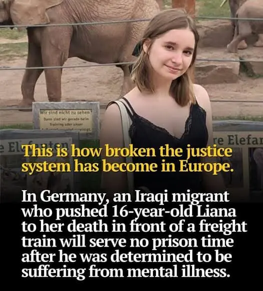 User Submitted Image