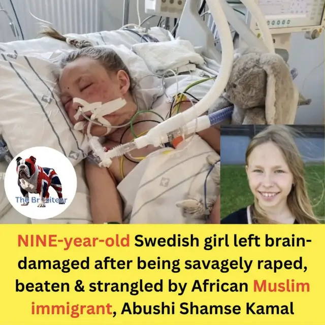 User Submitted Image