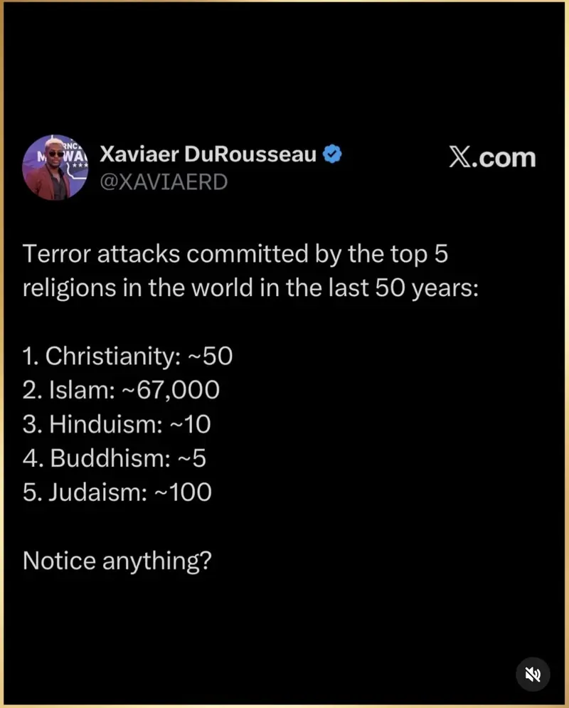 User Submitted Image