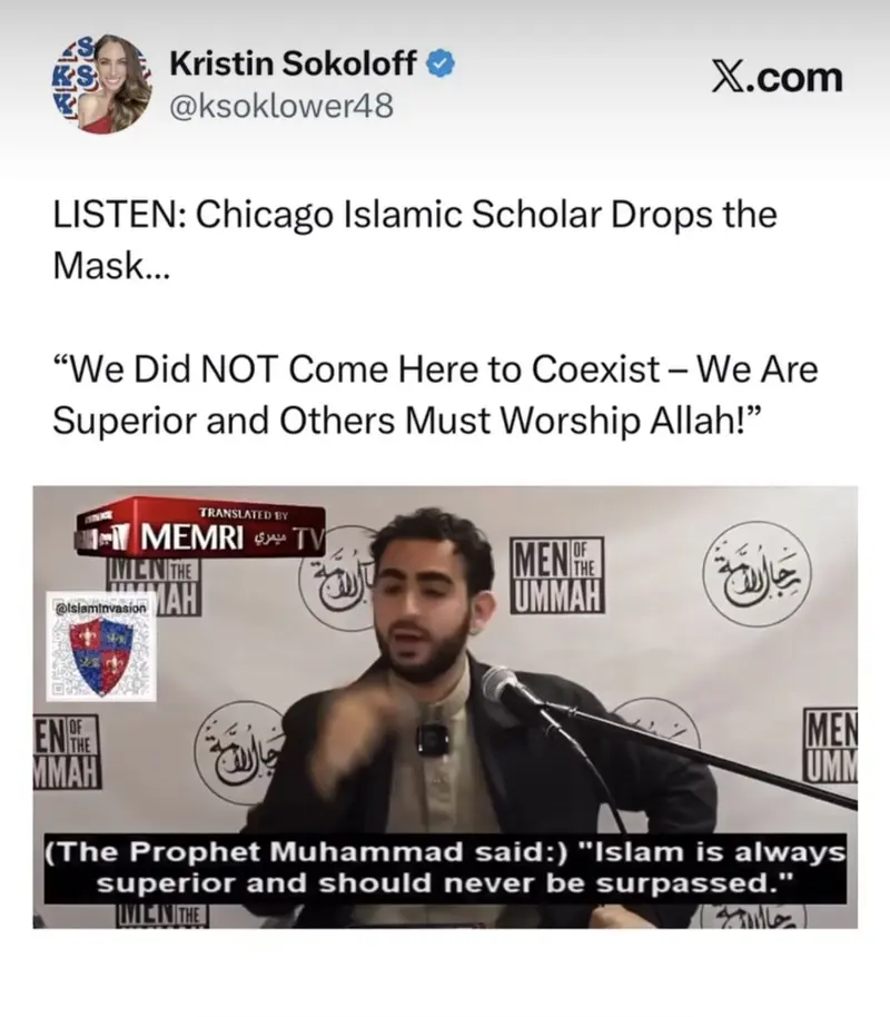 User Submitted Image