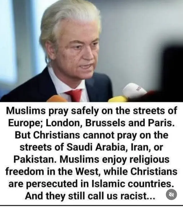 User Submitted Image