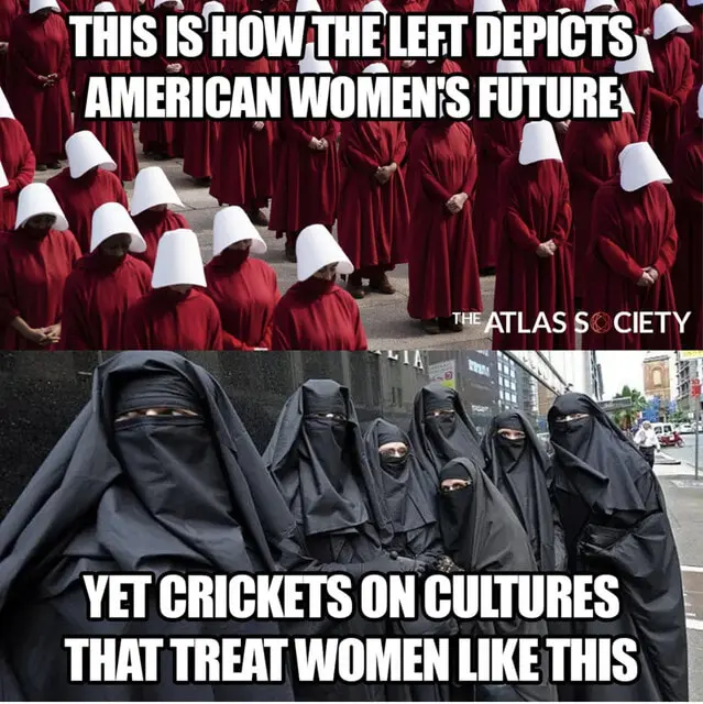 User Submitted Image