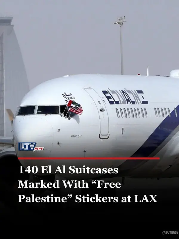 User Submitted Image