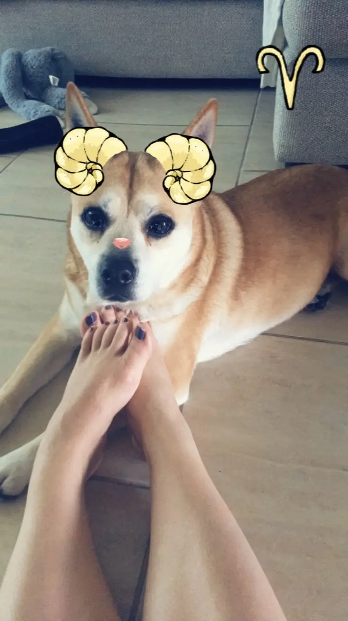 User Submitted Image