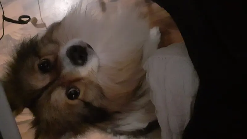 User Submitted Image