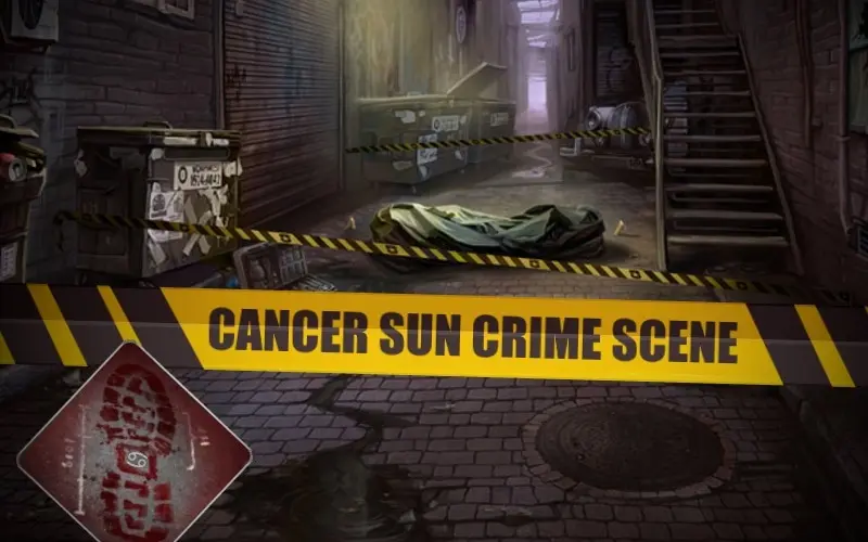 User Submitted Image