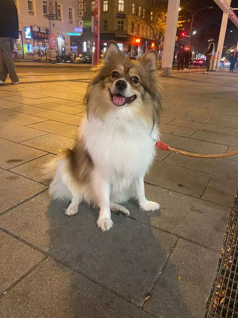 User Submitted Image