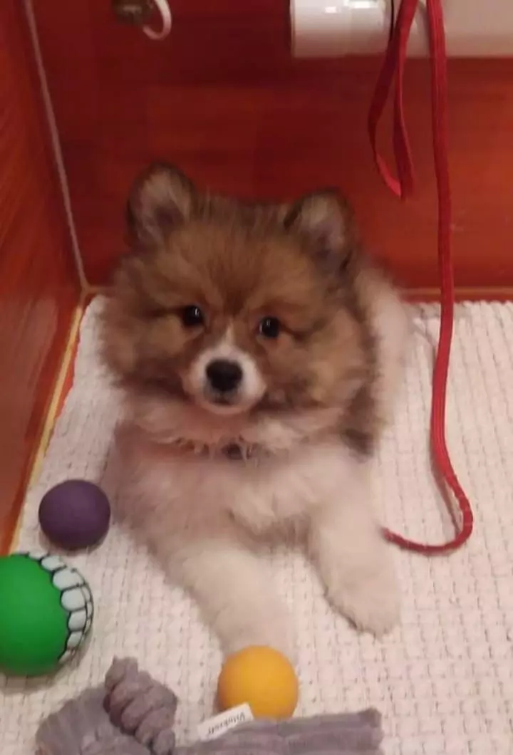 User Submitted Image