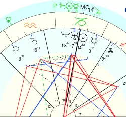 User Submitted Image