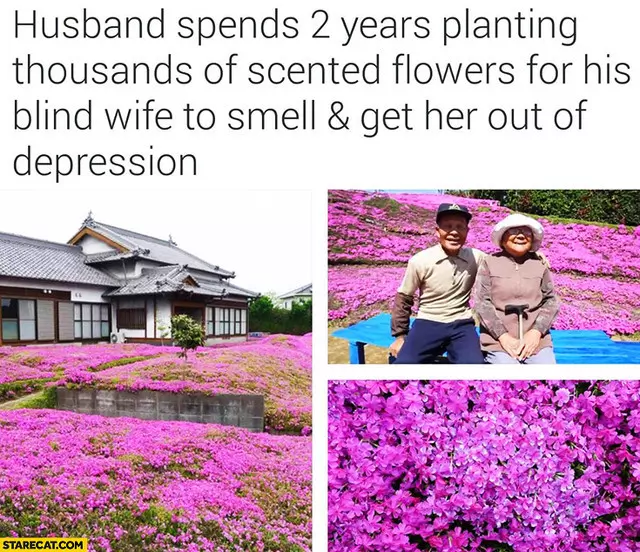 User Submitted Image