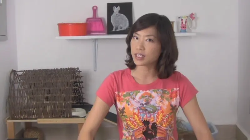 User Submitted Image