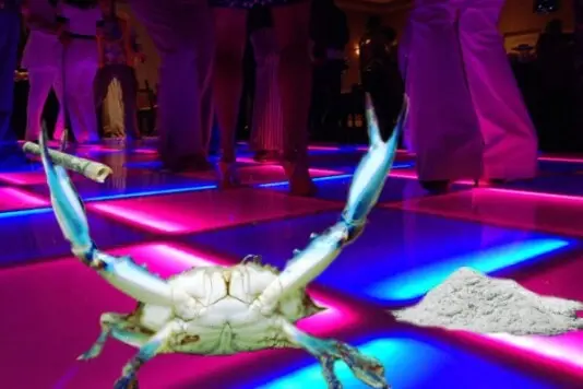 User Submitted Image