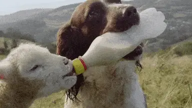 User Submitted Image