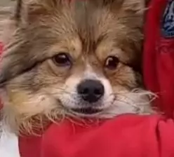 User Submitted Image