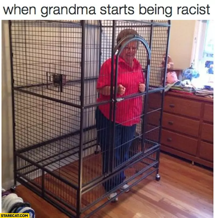 User Submitted Image