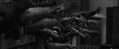 User Submitted Image