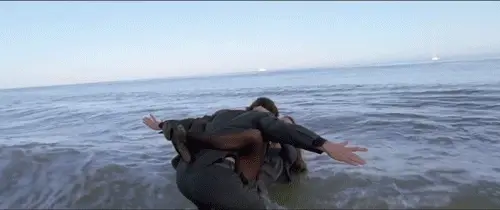 User Submitted Image