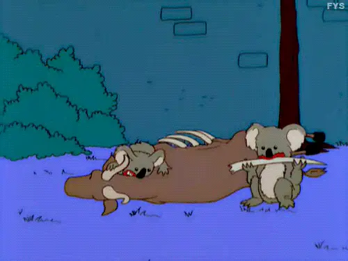 User Submitted Image