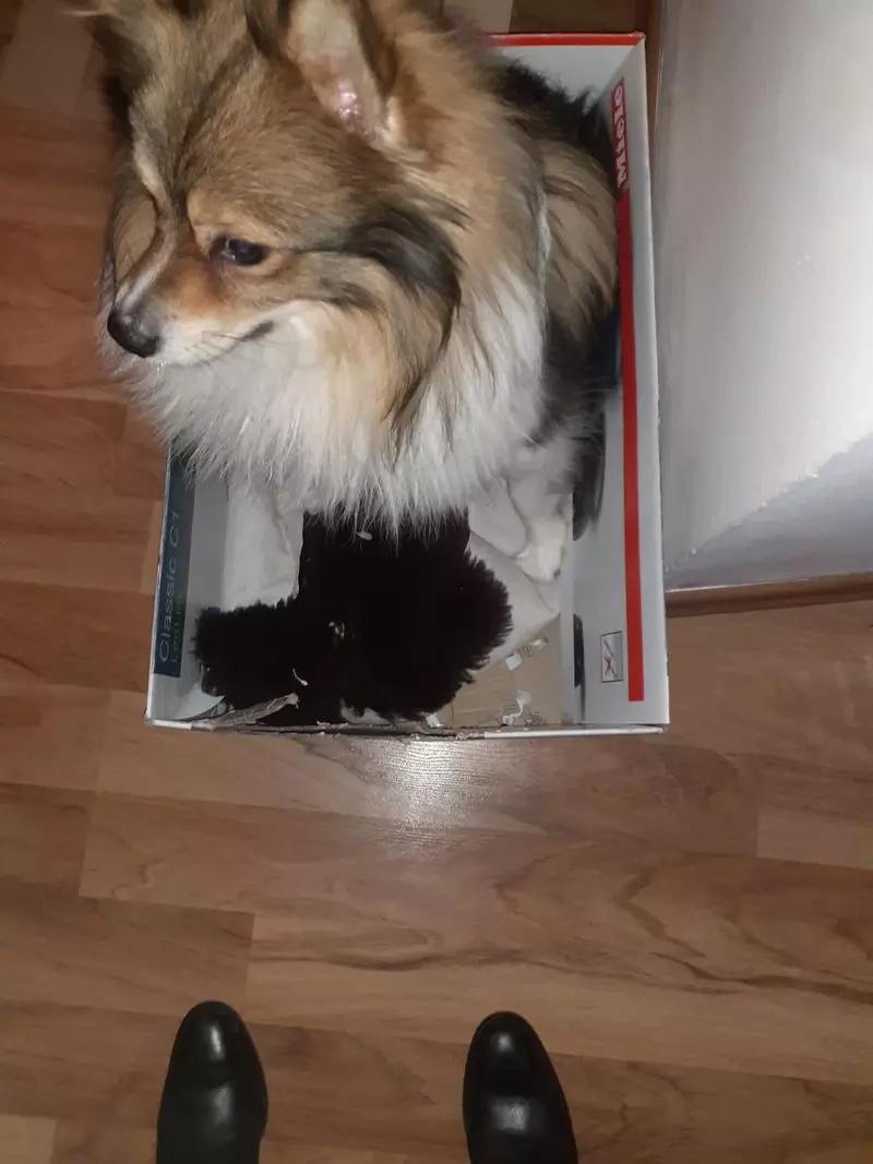 User Submitted Image