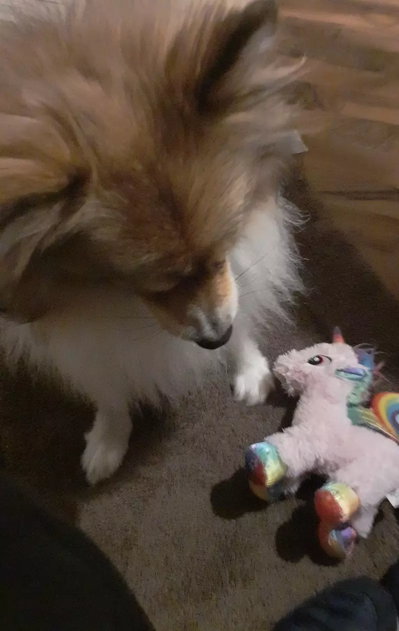 User Submitted Image