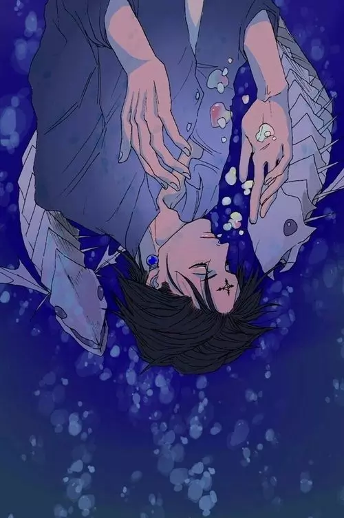 User Submitted Image