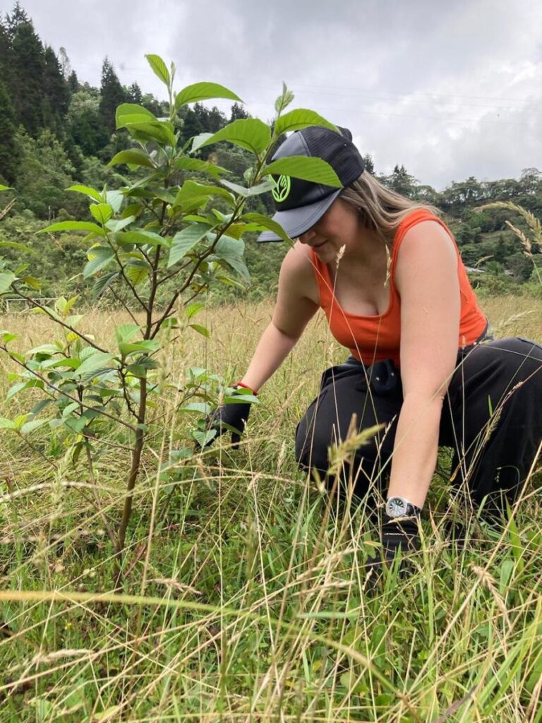 actividad con funcionarios públicos para hacer mantenimiento de plantas sembradas – Frontera Informativa