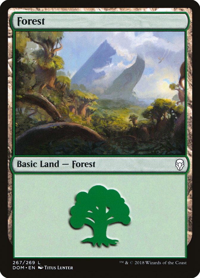 Dominaria #267 Forest (267)