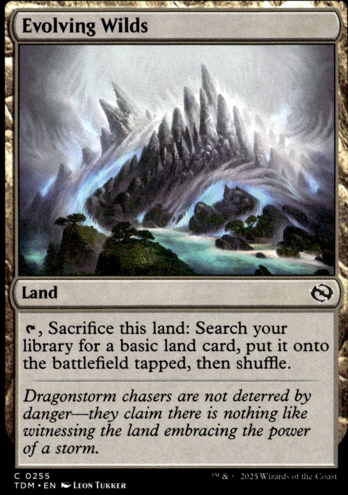 Tarkir: Dragonstorm #255 Evolving Wilds