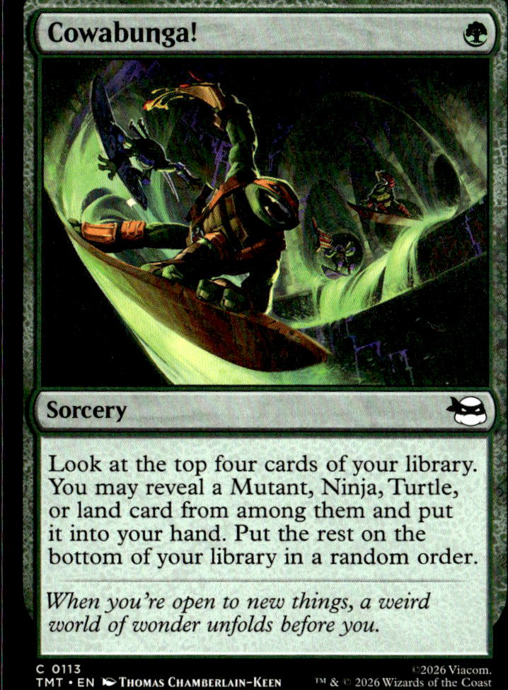 Teenage Mutant Ninja Turtles #113 Cowabunga!