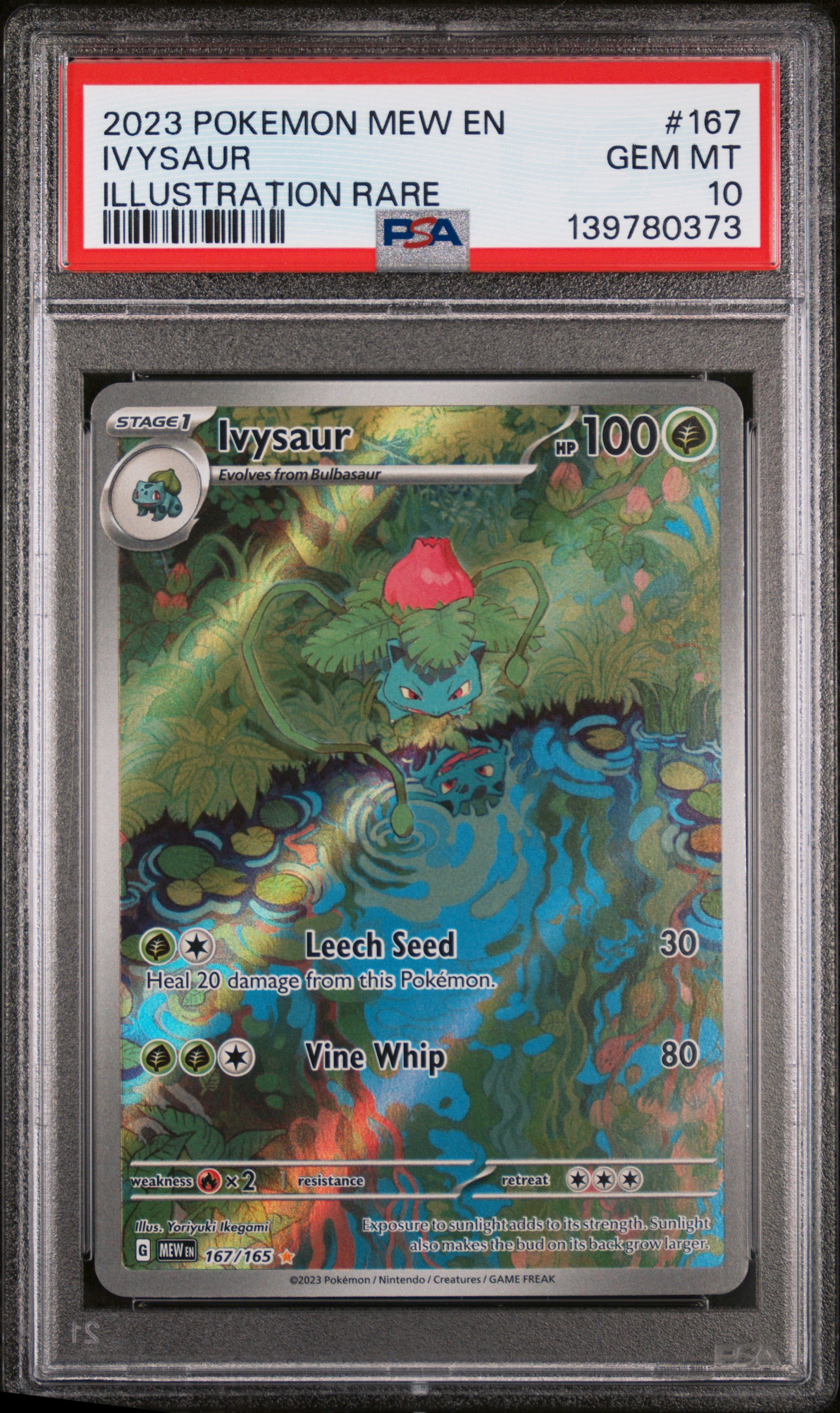 Ivysaur Illustration Rare - 167 — PSA 10