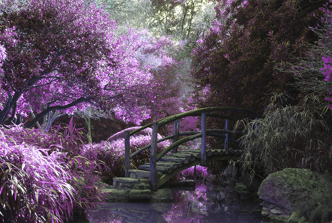 bridge with flowered trees - fantasy escape rooms