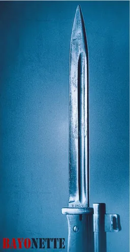 Bayonette Cotes du Roussillon Villages Red Blend