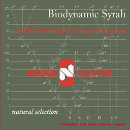 Chateau Maris Natural Selection Syrah