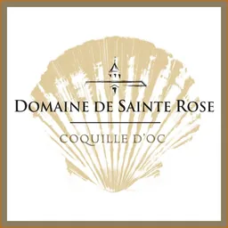 Coquille d'Oc Blanc