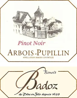Domaine Benoit Badoz Arbois-Pupillin Pinot Noir