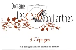 Domaine Les Aphillanthes Cotes du Rhone Villages 3 Cepages