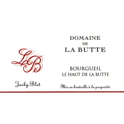 Domaine de la Butte Bourgueil Haut de la Butte