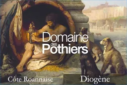 Cote Roannaise Cuvee Diogene