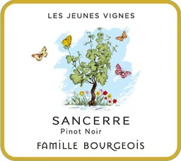 Les Jeunes Vignes Sancerre Rose