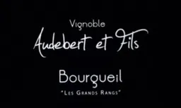 Maison Audebert et Fils Bourgueil Les Grands Rangs