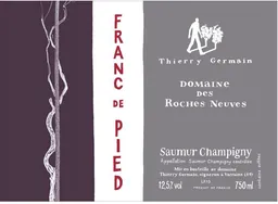 Thierry Germain Saumur Champigny Franc de Pied