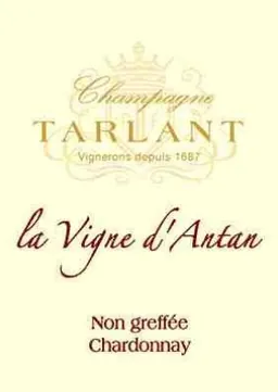 Champagne La Vigne d'Antan Non greffée Chardonnay