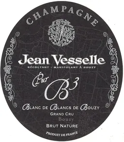 Blanc de Blancs de Bouzy Brut Nature