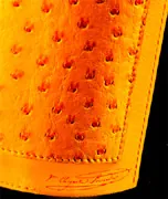 Yellowboam Ostrich Limited