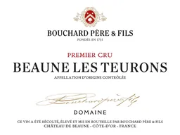 Beaune Les Teurons Premier Cru