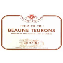 Premier Cru Beaune Teurons Domaine