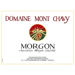 Morgon Domaine Mont Chavy