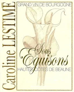 Bourgogne Hautes Cotes de Beaune Sous Eguisons Blanc